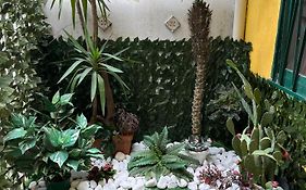 Amuri Di Casa Scogliera
